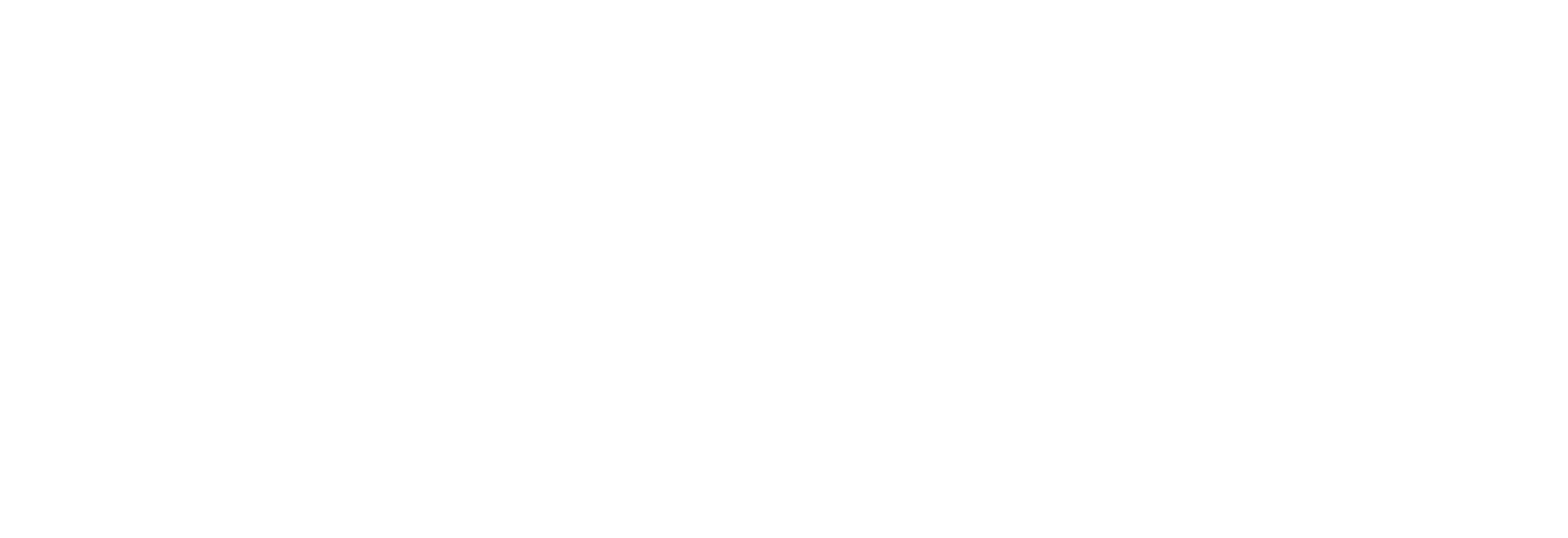 braseltonautomotive_LOGO_WHITE